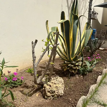 Prázdninový dům Casa Delia Alghero